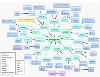 Preview of Body Systems Concept Map - Fillable Word Document
