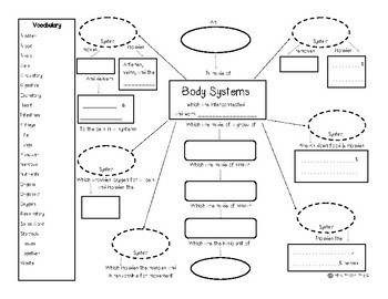 Human Body Systems Concept Map By Mrs Proton Priest Tpt