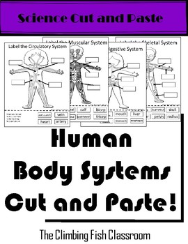 Preview of Body Systems Cut and Paste Printable and Digital Worksheets