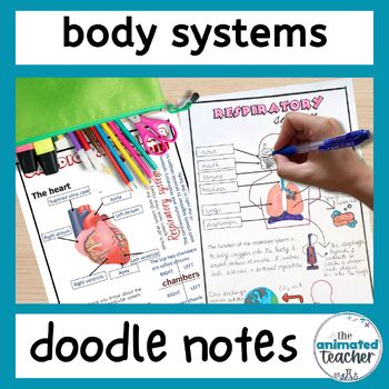 Preview of Body Systems Doodle Notes Bundle