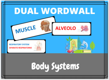 Preview of Body Systems Dual Language Word Wall