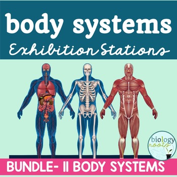 Preview of Human Body Systems Stations BUNDLE