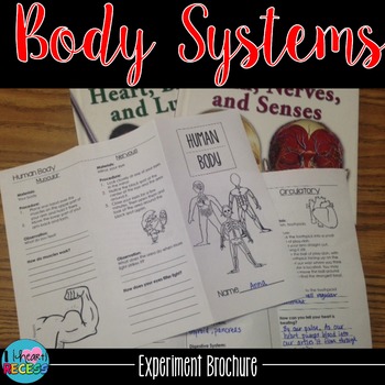 Preview of Body Systems Experiments