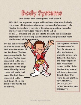 Preview of Body Systems Foldable