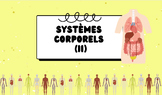 Body Systems (II) - BC Curriculum: Grade 6
