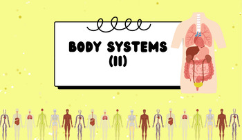 Preview of Body Systems (II) Bundle - BC Curriculum: Grade 6