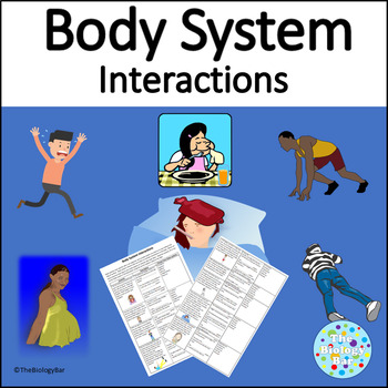 Preview of Body Systems Identify the Interactions Worksheet