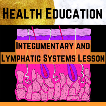 Preview of Body Systems: Integumentary&Lymphatic Systems Lesson w/Skin Sensitivity Activity