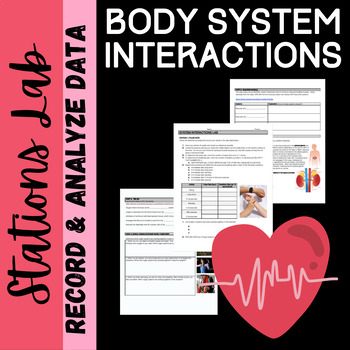 Preview of Body System Interactions: Stations Lab