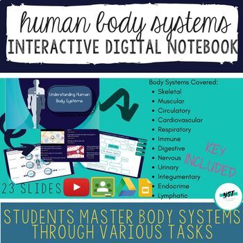 Preview of Body Systems Interactive Digital Notebook