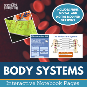 Preview of Body Systems Interactive Notebook Pages - Print or Digital INB