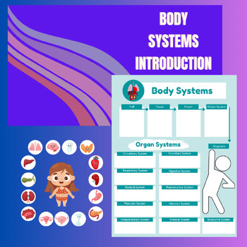 Preview of Body Systems Introduction Bundle