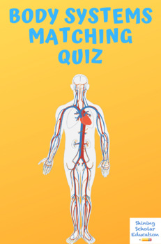 Preview of Body Systems Matching Quiz 11 Questions Total