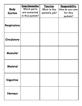 Preview of Body Systems Matrix - Form, Function, Connection, Responsibility