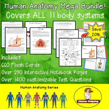 Preview of Human Anatomy Mega Bundle