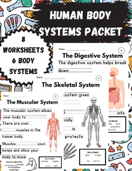 Preview of Body Systems Packet Unit (1st grade)