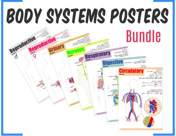 Preview of Body Systems Posters Bundle