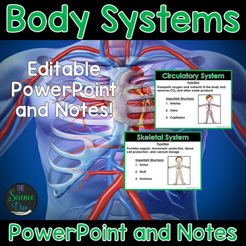 Preview of Body Systems - PowerPoint and Notes