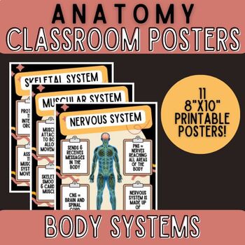 Preview of Body Systems Printable Posters- Anatomy Classroom Decor