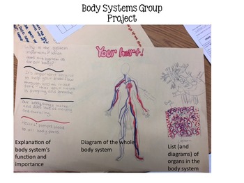 Preview of Body Systems Project Criteria/Rubric