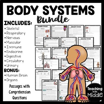 Preview of Body Systems Informational Text Reading Comprehension Worksheet Bundle
