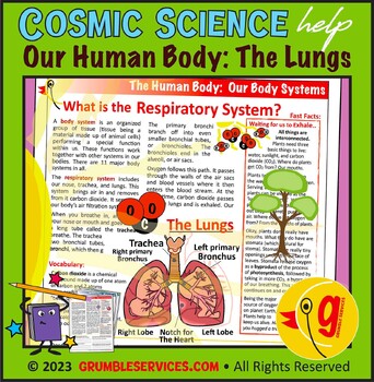 Preview of Body Systems: Respiratory System - Our Lungs & Photosynthesis - Health Science