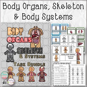 Preview of Body Systems, Skeleton and Body Organs Set