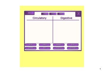 Preview of Body Systems Smartboard Sorting Review Game