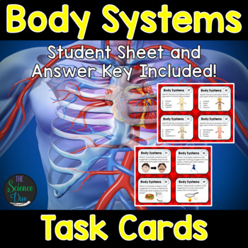 Preview of Body Systems Task Cards