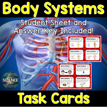 Preview of Body Systems Task Cards and Card Sort