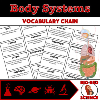 Preview of Body Systems Warm-Up Game: "I have, who has?" Vocabulary Chain