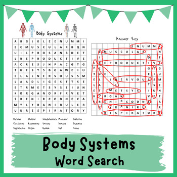 Body Systems Word Search by Many Hats Educator | TpT