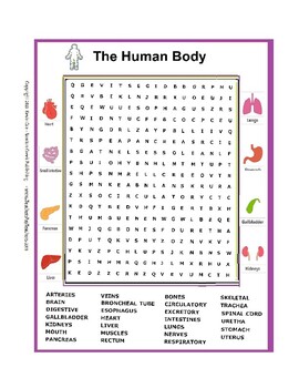 Preview of Body Systems Word Search