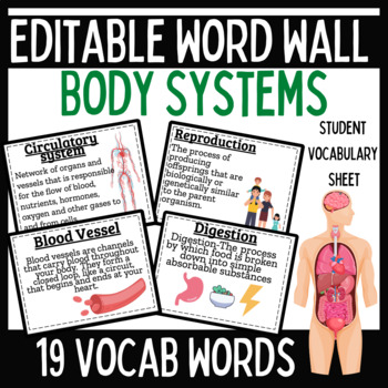 Preview of Body Systems Word Wall 