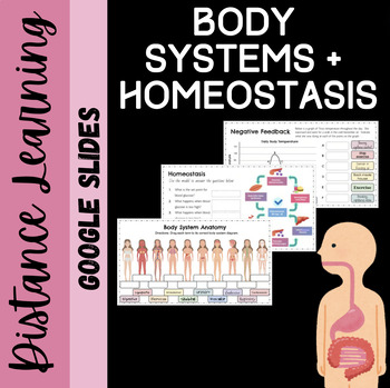 Preview of Body Systems and Homeostasis: Distance Learning Activity
