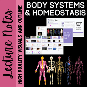 Preview of Body Systems and Homeostasis PPT Unit Notes