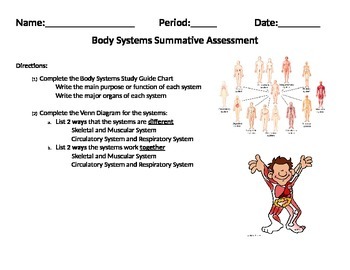 Body Systems Working Together Chart