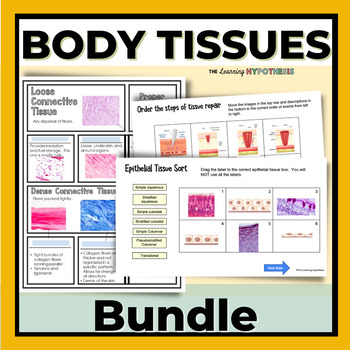 Preview of Body Tissues  Bundle