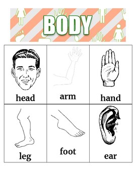 Preview of Body Vocabulary Words