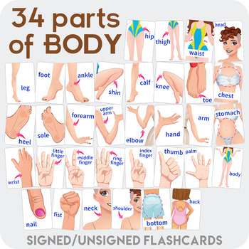 Preview of Body flashcards