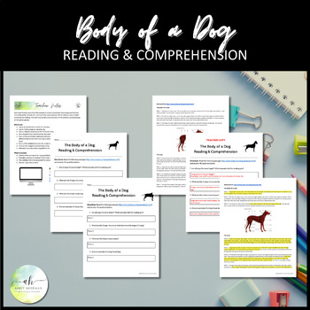 Preview of Body of a Dog: Reading & Comprehension