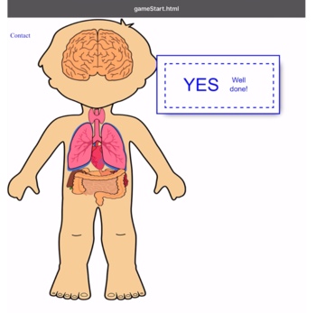 Preview of Body organs game 2