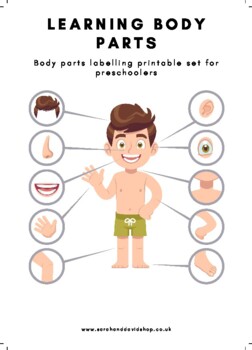 body parts preschool worksheets by sarahanddavidshop tpt