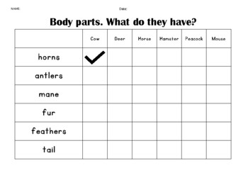 Preview of Animal Body parts. What do they have? Text Only 1 page