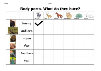 Preview of Body parts. What do they have? Text with Pictures 11 pages, Animals and Insects