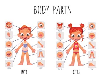 Preview of Body parts - cartoon kids body part - poster design letter size - Ready to print