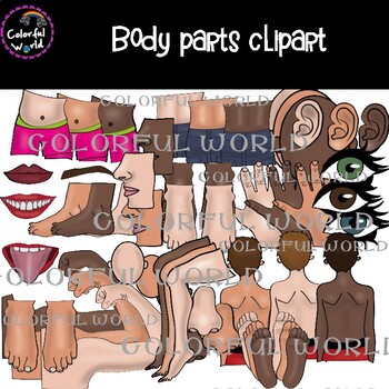 Preview of Body parts clipart