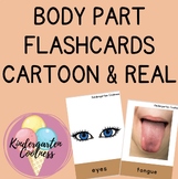 Body parts flashcards real life images and cartoon clip art