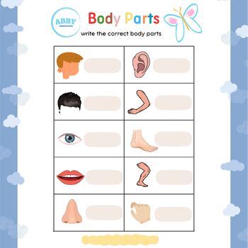 Preview of Body parts game-Colorful worksheet for brain development