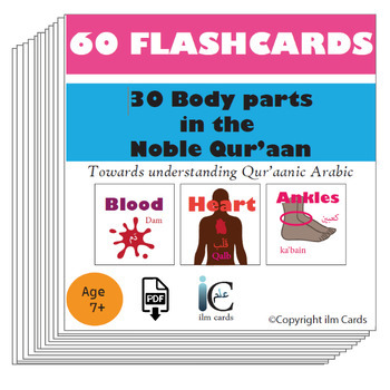 Preview of Body parts in the Noble Qur'aan